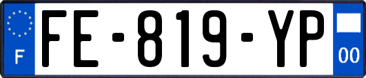 FE-819-YP