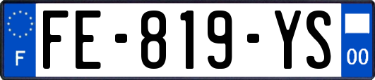 FE-819-YS