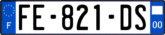 FE-821-DS