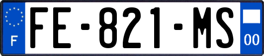 FE-821-MS