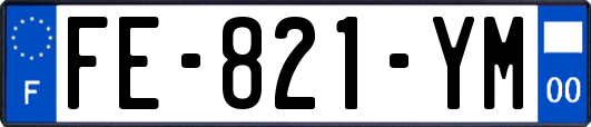 FE-821-YM