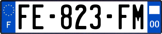 FE-823-FM