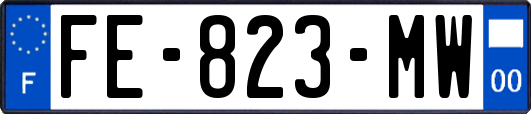FE-823-MW