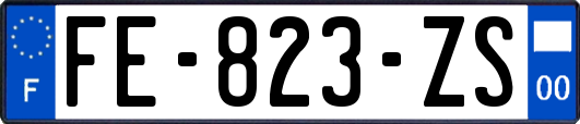 FE-823-ZS