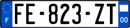 FE-823-ZT