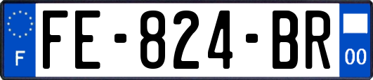 FE-824-BR