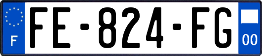 FE-824-FG