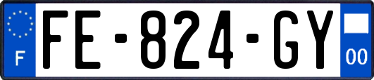 FE-824-GY