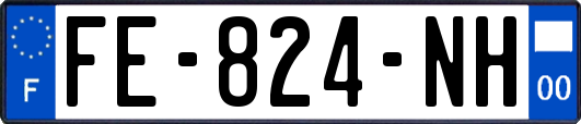 FE-824-NH