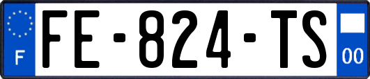 FE-824-TS