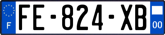FE-824-XB