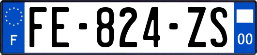 FE-824-ZS