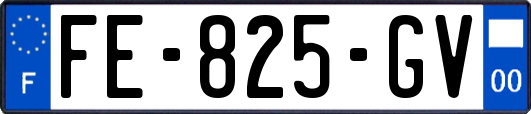 FE-825-GV