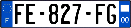 FE-827-FG