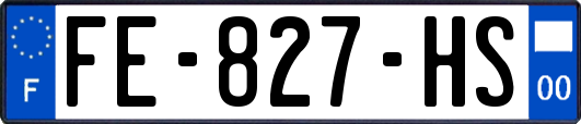 FE-827-HS