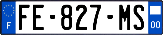 FE-827-MS