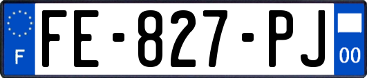 FE-827-PJ