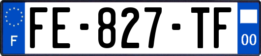 FE-827-TF