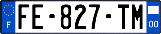 FE-827-TM
