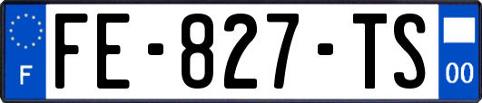 FE-827-TS