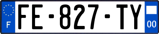 FE-827-TY