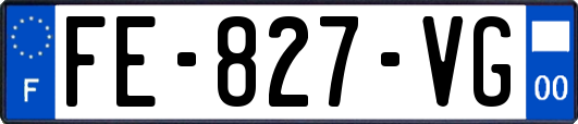 FE-827-VG