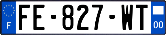 FE-827-WT
