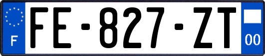 FE-827-ZT