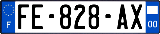 FE-828-AX