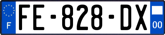FE-828-DX