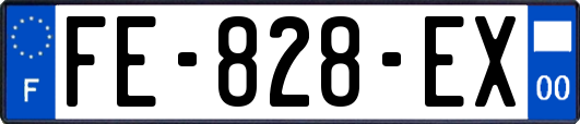 FE-828-EX