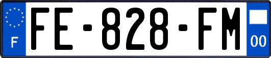FE-828-FM