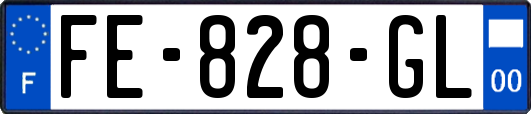 FE-828-GL