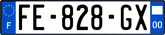 FE-828-GX