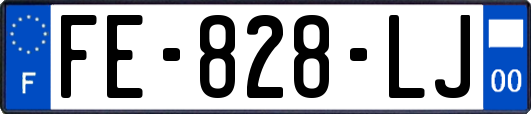FE-828-LJ