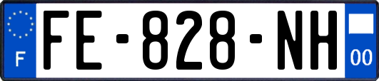 FE-828-NH