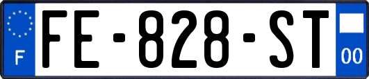 FE-828-ST