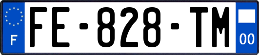 FE-828-TM