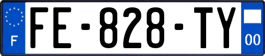 FE-828-TY