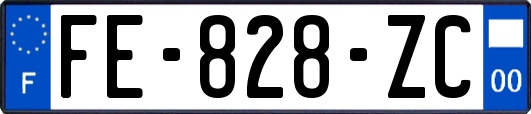 FE-828-ZC