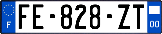 FE-828-ZT