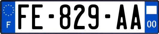 FE-829-AA