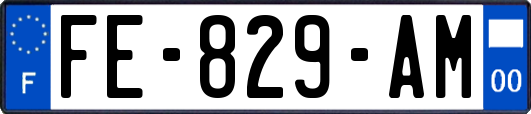 FE-829-AM