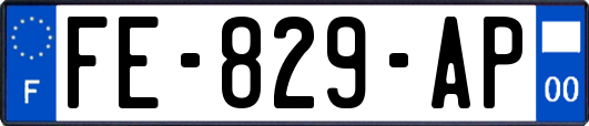 FE-829-AP