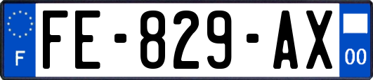 FE-829-AX
