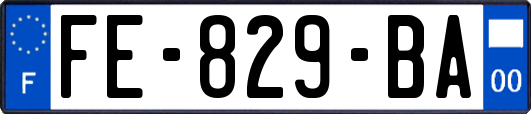 FE-829-BA