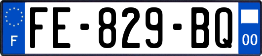 FE-829-BQ