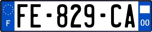 FE-829-CA