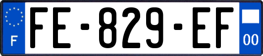FE-829-EF