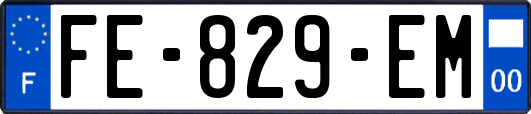 FE-829-EM
